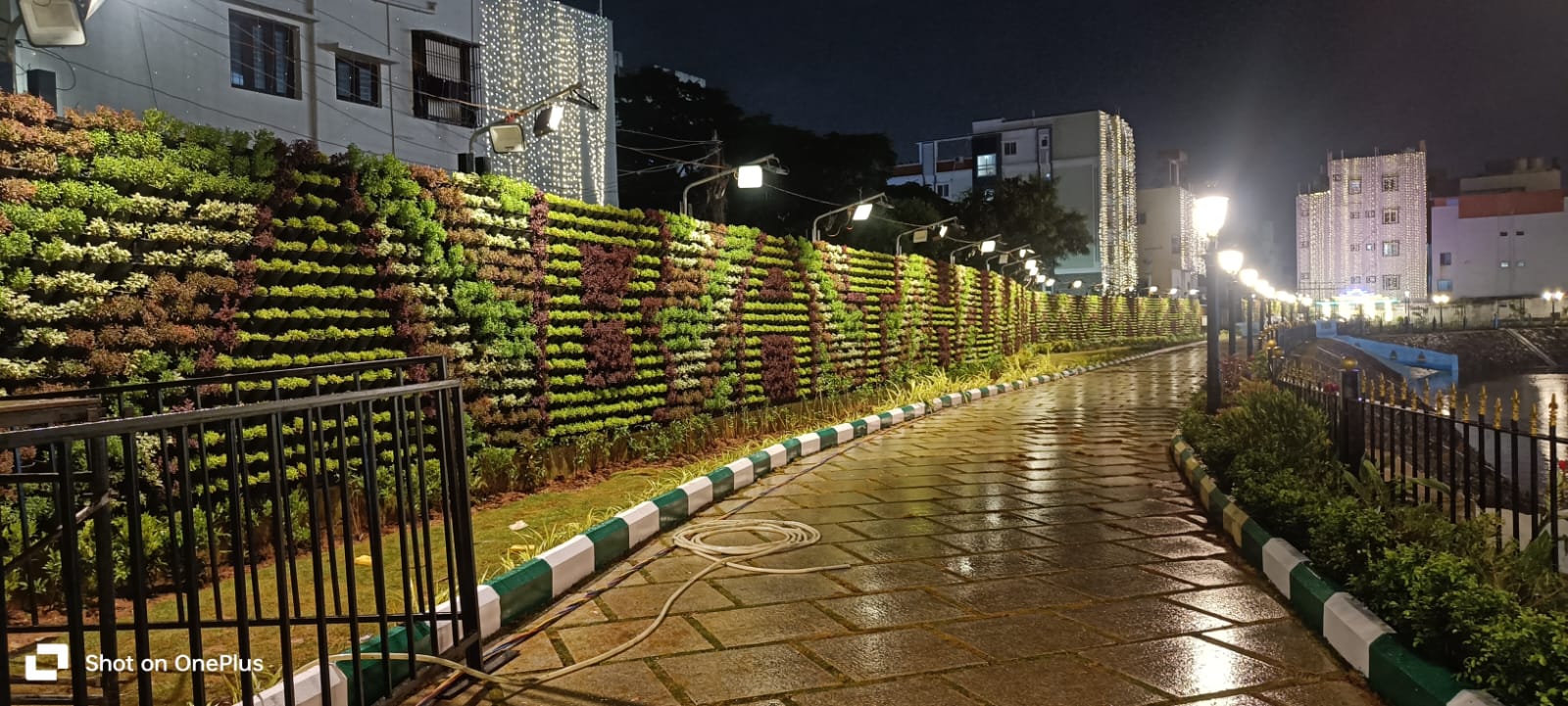 Vertical Gardens