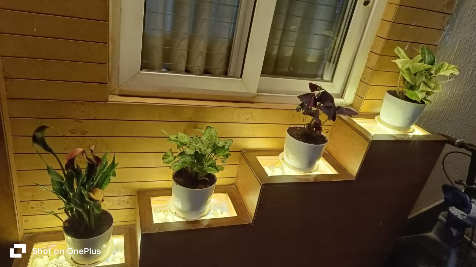 Outdoor Lighting