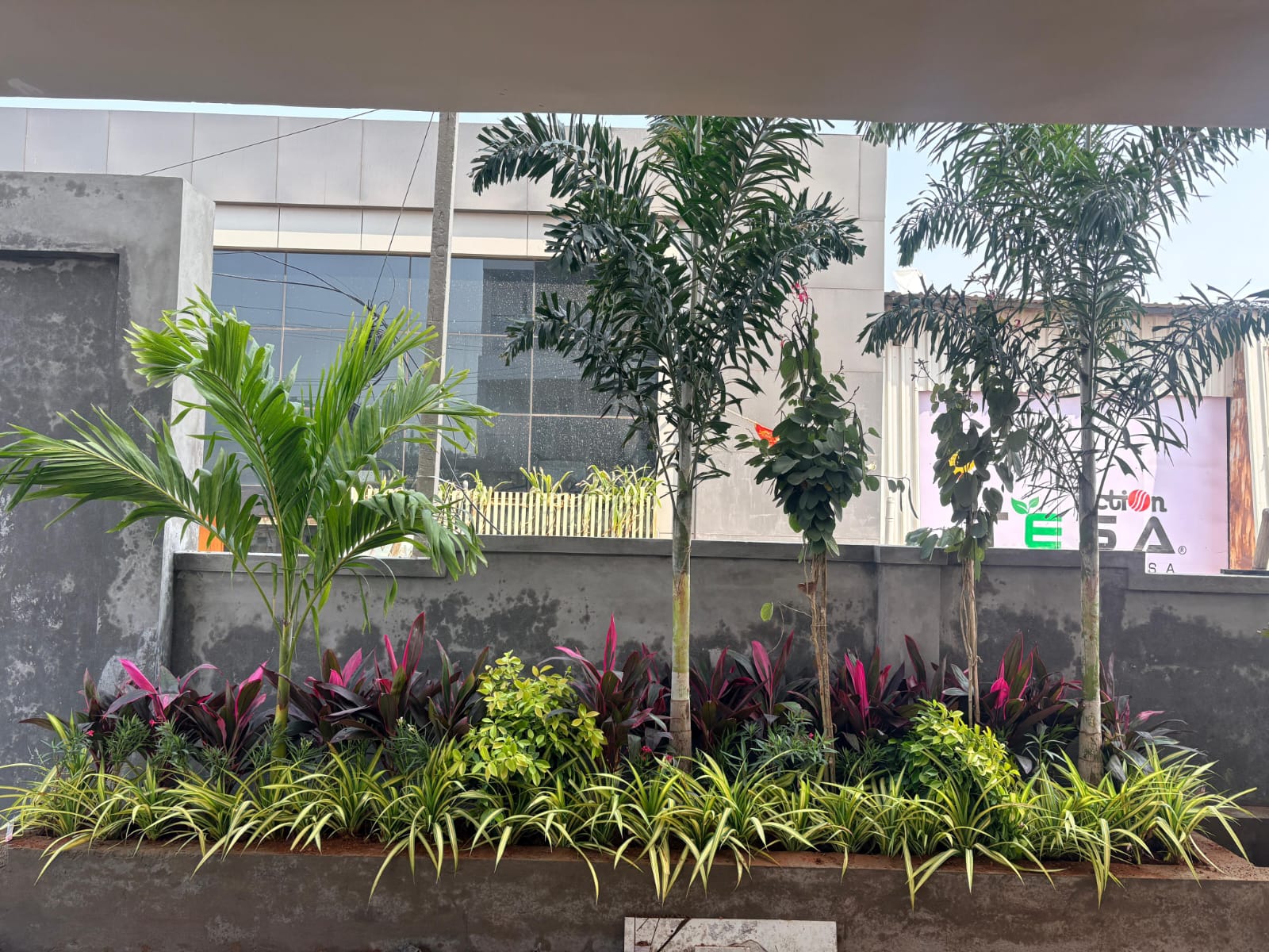 Plant Supply
