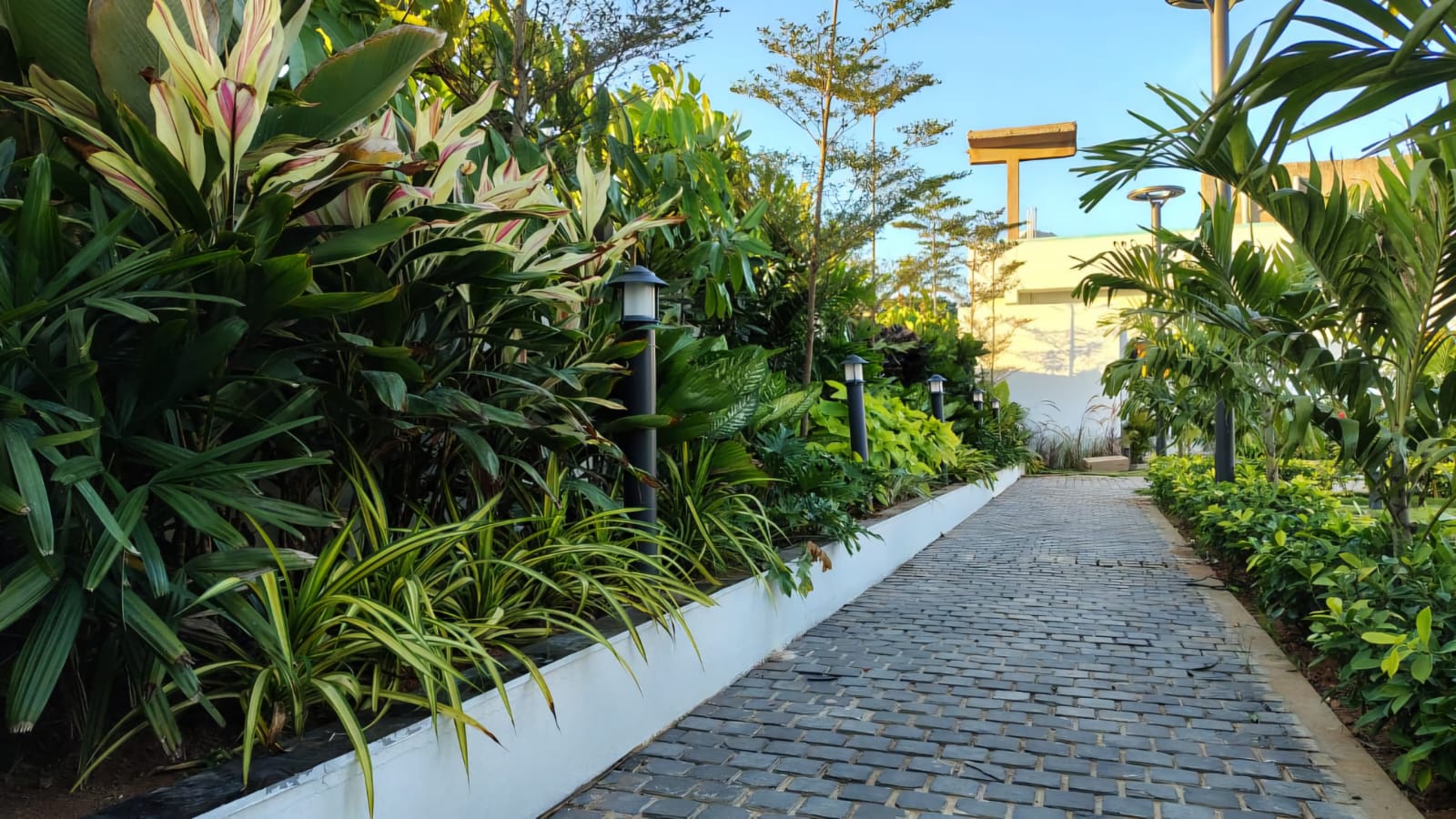 Tropical Garden