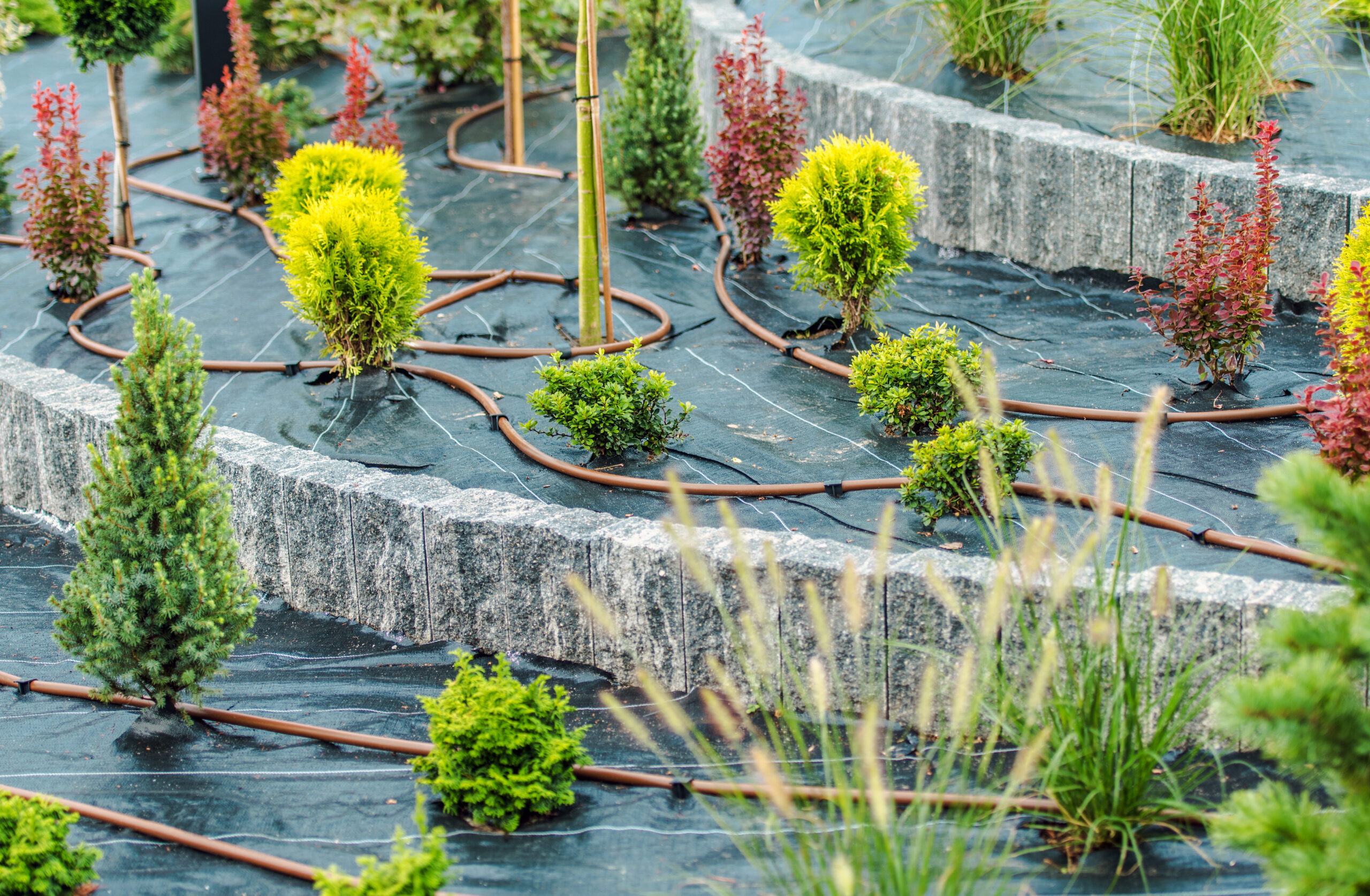 Drip Irrigation